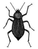 Иллюстрация к книге — Произведение в алом [img_38.jpg]