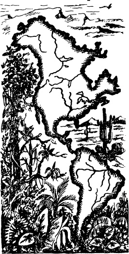 Иллюстрация к книге — Увлекательная география [_110.jpg]