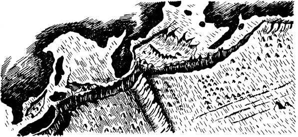 Иллюстрация к книге — Увлекательная география [_16.jpg]