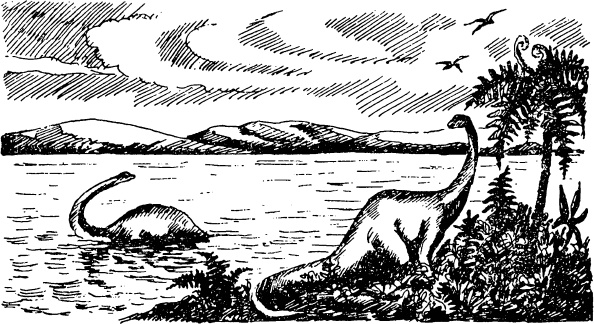 Иллюстрация к книге — Увлекательная география [_18.jpg]