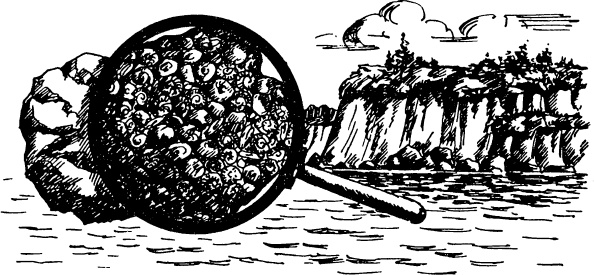 Иллюстрация к книге — Увлекательная география [_65.jpg]