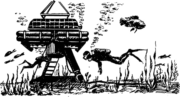 Иллюстрация к книге — Увлекательная география [_88.jpg]