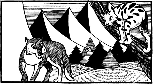 Иллюстрация к книге — Увлекательная география [_99.jpg]