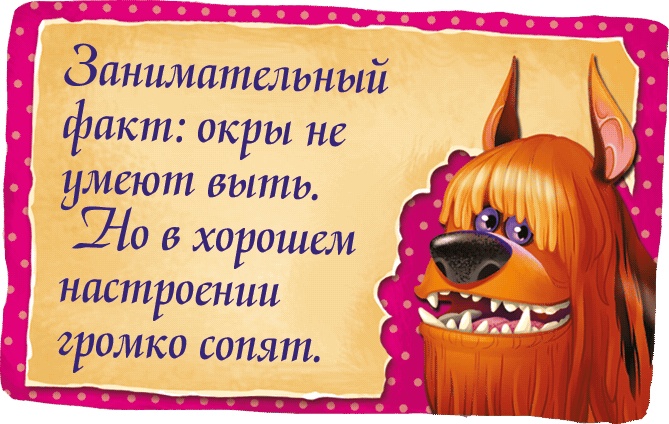 Иллюстрация к книге — Мора-Мрукс. Дракон может и не знать [i_017.jpg]