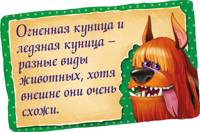 Иллюстрация к книге — Мора-Мрукс. Дракон может и не знать [i_047.jpg]