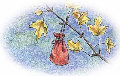 Иллюстрация к книге — Еня и Еля. Осенние истории [_13.jpg]