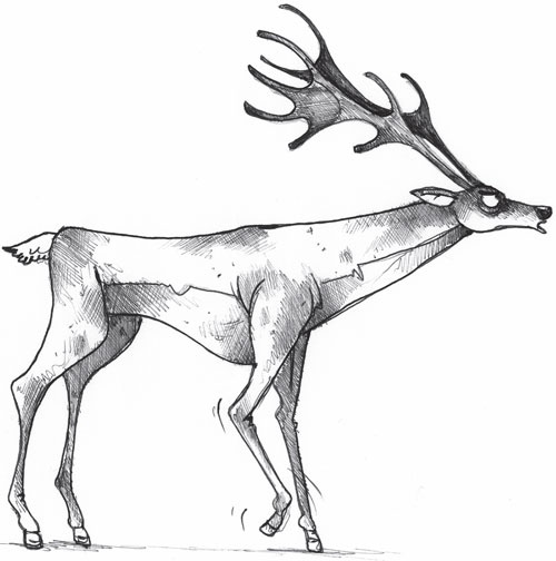 Иллюстрация к книге — Девочка, которая спасла Рождество [_51.jpg]