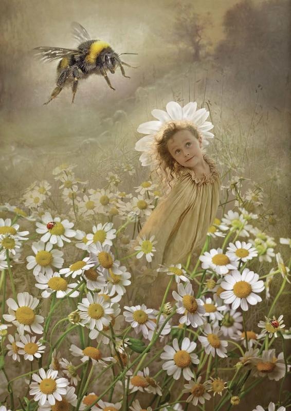 Иллюстрация к книге — Дары Неба и Солнца [i_003.jpg]