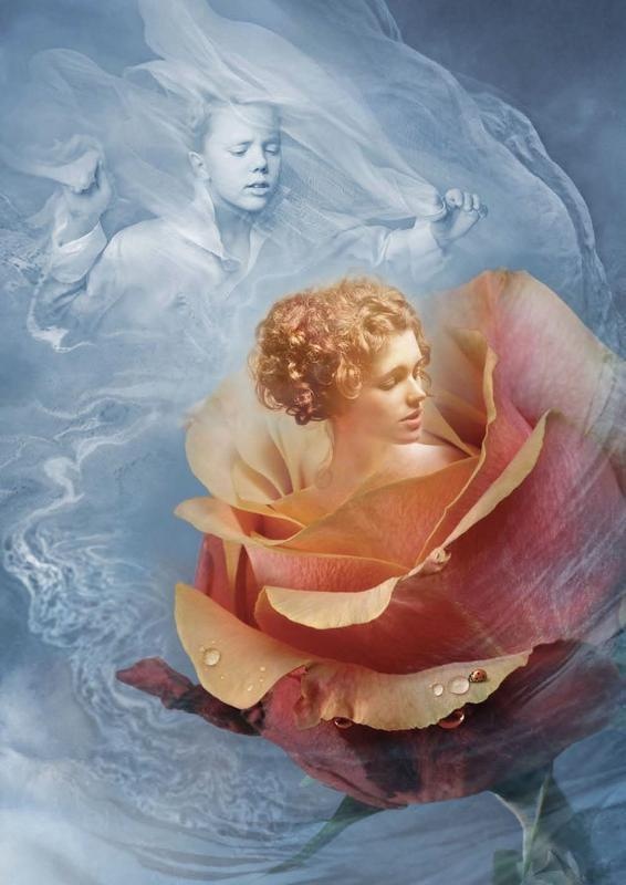 Иллюстрация к книге — Дары Неба и Солнца [i_005.jpg]