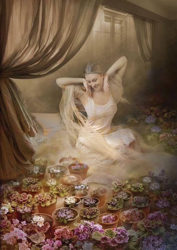 Иллюстрация к книге — Дары Неба и Солнца [i_009.jpg]