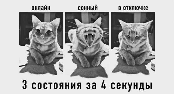 Иллюстрация к книге — Безумно счастливые. Часть 2. Продолжение невероятно смешных рассказов о нашей обычной жизни [i_005.jpg]