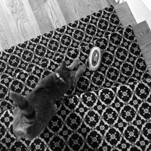 Иллюстрация к книге — Безумно счастливые. Часть 2. Продолжение невероятно смешных рассказов о нашей обычной жизни [i_015.jpg]