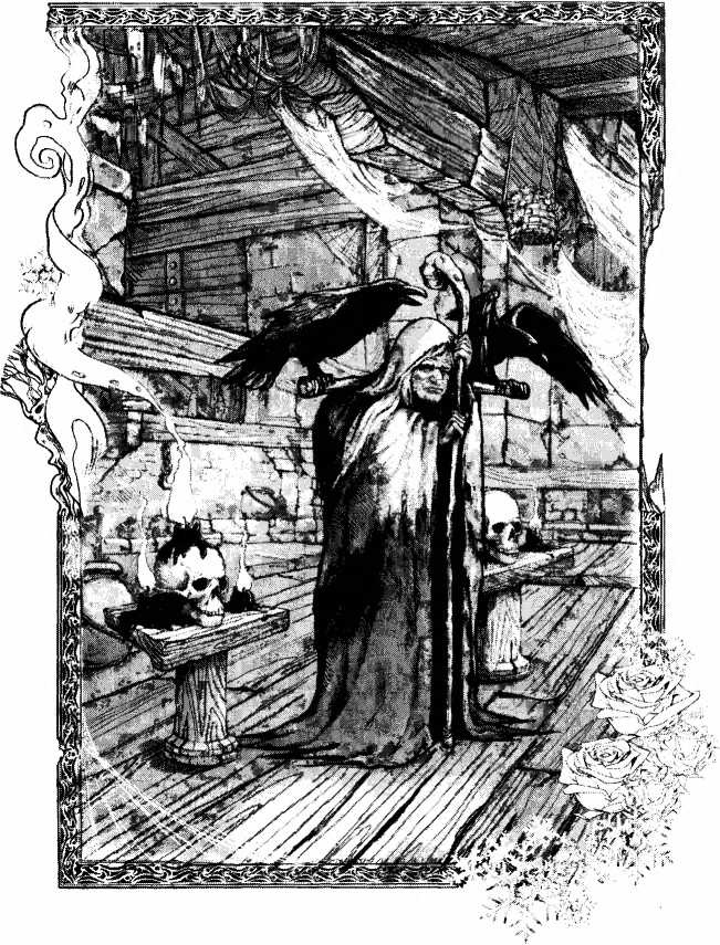 Иллюстрация к книге — Господин Зима [i_001.jpg]