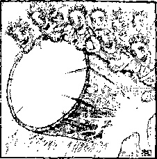 Иллюстрация к книге — Господин Зима [i_021.jpg]