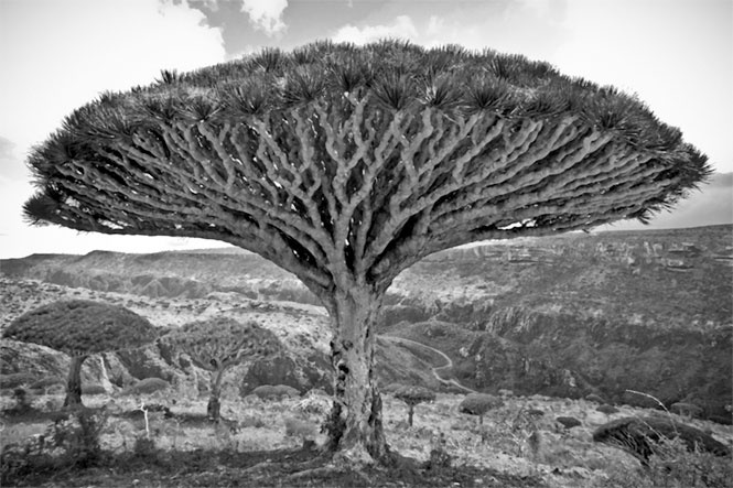 Иллюстрация к книге — На парусниках «Надежда» и «Нева» в Японию. Первое кругосветное плаванье российского флота [i_008.jpg]