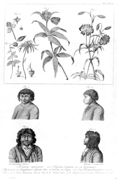 Иллюстрация к книге — На парусниках «Надежда» и «Нева» в Японию. Первое кругосветное плаванье российского флота [i_027.jpg]