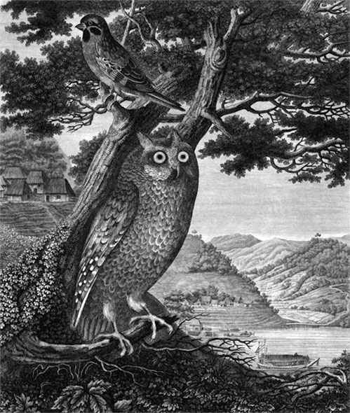 Иллюстрация к книге — На парусниках «Надежда» и «Нева» в Японию. Первое кругосветное плаванье российского флота [i_029.jpg]