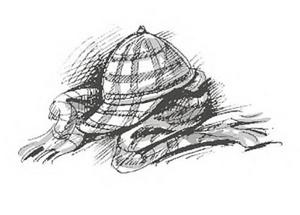 Иллюстрация к книге — Что случилось в нашем классе? [image_45.jpg]