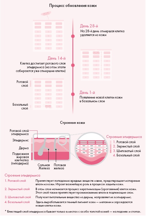 Иллюстрация к книге — Корейская философия красоты. Smart-подход для идеальной кожи без дорогостоящих вложений [i_001.jpg]