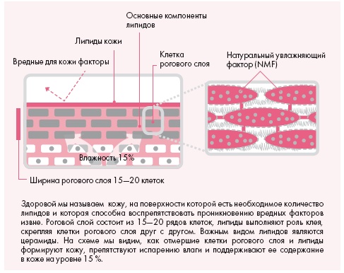 Иллюстрация к книге — Корейская философия красоты. Smart-подход для идеальной кожи без дорогостоящих вложений [i_002.jpg]