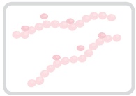 Иллюстрация к книге — Корейская философия красоты. Smart-подход для идеальной кожи без дорогостоящих вложений [i_010.jpg]