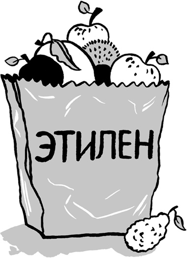 Иллюстрация к книге — Еда живая и мертвая. 5 принципов здорового питания [i_018.jpg]