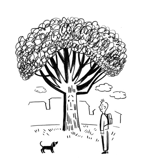 Иллюстрация к книге — Кот Барбосный [i_018.jpg]