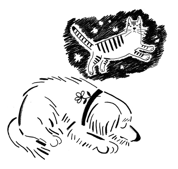 Иллюстрация к книге — Кот Барбосный [i_034.jpg]