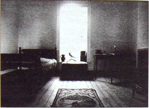 Иллюстрация к книге — Эдгар Аллан По. Поэт кошмара и ужаса [i_004.jpg]