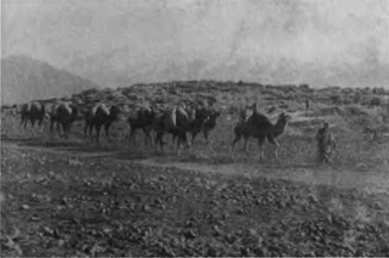 Иллюстрация к книге — Казаки на Кавказском фронте. 1914-1917 [i_006.jpg]