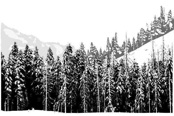 Иллюстрация к книге — Васюткино озеро. С вопросами и ответами для почемучек [i_014.jpg]