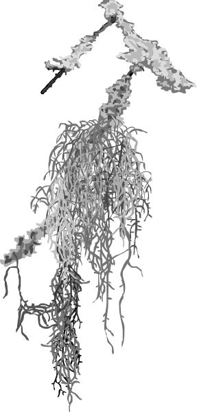 Иллюстрация к книге — Васюткино озеро. С вопросами и ответами для почемучек [i_022.jpg]