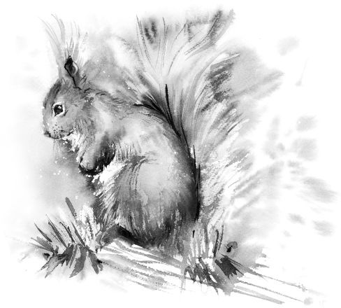 Иллюстрация к книге — Васюткино озеро. С вопросами и ответами для почемучек [i_028.jpg]