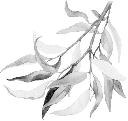 Иллюстрация к книге — Васюткино озеро. С вопросами и ответами для почемучек [i_031.jpg]