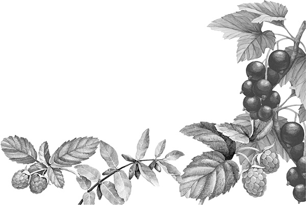 Иллюстрация к книге — Васюткино озеро. С вопросами и ответами для почемучек [i_040.jpg]