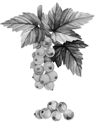 Иллюстрация к книге — Васюткино озеро. С вопросами и ответами для почемучек [i_041.jpg]