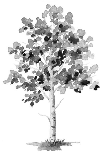 Иллюстрация к книге — Васюткино озеро. С вопросами и ответами для почемучек [i_042.jpg]