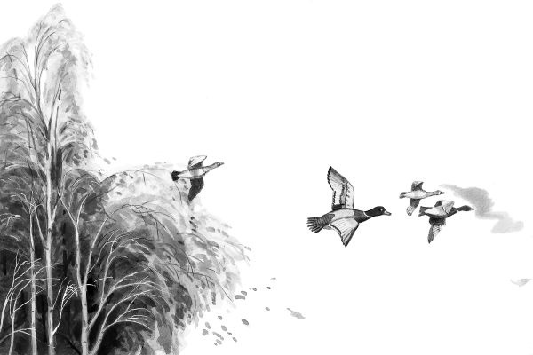 Иллюстрация к книге — Васюткино озеро. С вопросами и ответами для почемучек [i_043.jpg]