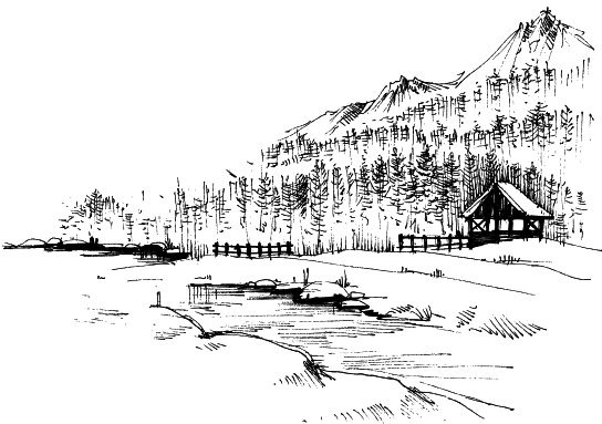 Иллюстрация к книге — Васюткино озеро. С вопросами и ответами для почемучек [i_044.jpg]