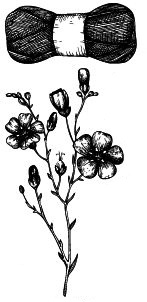 Иллюстрация к книге — Васюткино озеро. С вопросами и ответами для почемучек [i_047.jpg]