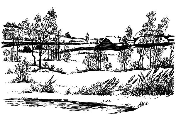 Иллюстрация к книге — Васюткино озеро. С вопросами и ответами для почемучек [i_049.jpg]