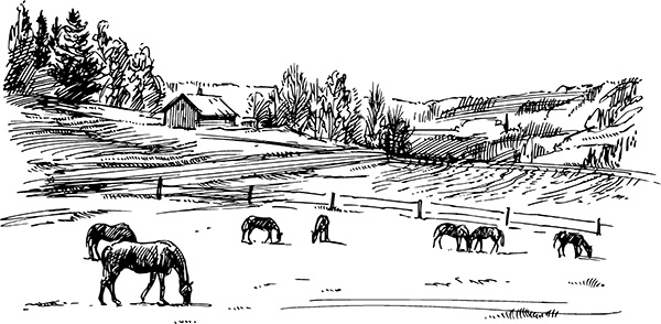 Иллюстрация к книге — Васюткино озеро. С вопросами и ответами для почемучек [i_057.jpg]