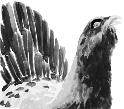 Иллюстрация к книге — Васюткино озеро. С вопросами и ответами для почемучек [i_061.jpg]