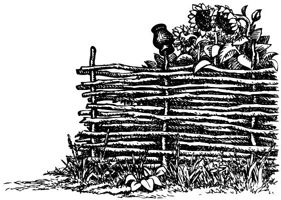 Иллюстрация к книге — Васюткино озеро. С вопросами и ответами для почемучек [i_067.jpg]