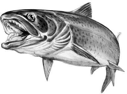 Иллюстрация к книге — Васюткино озеро. С вопросами и ответами для почемучек [i_077.jpg]