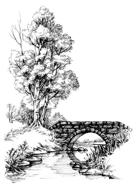 Иллюстрация к книге — Васюткино озеро. С вопросами и ответами для почемучек [i_079.jpg]