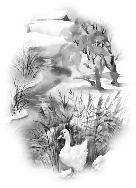 Иллюстрация к книге — Васюткино озеро. С вопросами и ответами для почемучек [i_083.jpg]