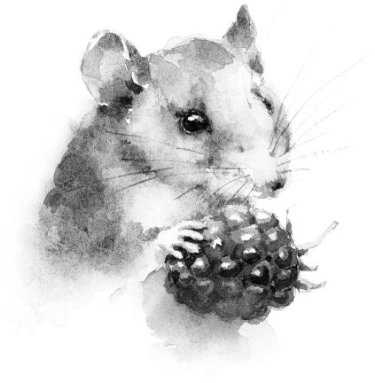 Иллюстрация к книге — Васюткино озеро. С вопросами и ответами для почемучек [i_094.jpg]