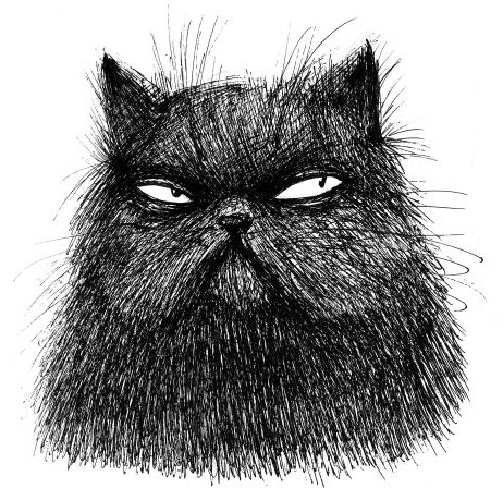 Иллюстрация к книге — Васюткино озеро. С вопросами и ответами для почемучек [i_098.jpg]