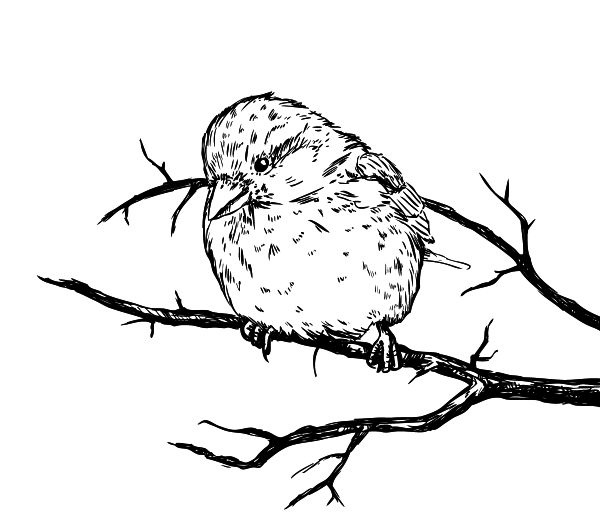 Иллюстрация к книге — Васюткино озеро. С вопросами и ответами для почемучек [i_099.jpg]